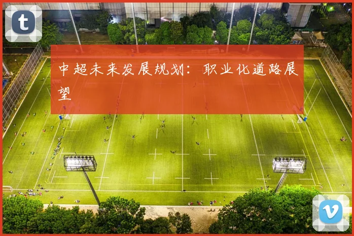中超未来发展规划：职业化道路展望